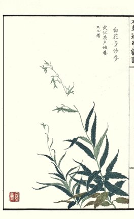 photo42.jpg
