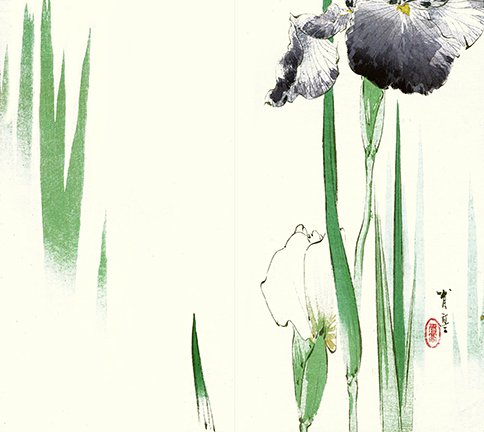 photo27.jpg