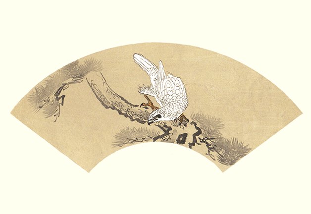 photo17.jpg