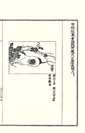 photo25.jpg
