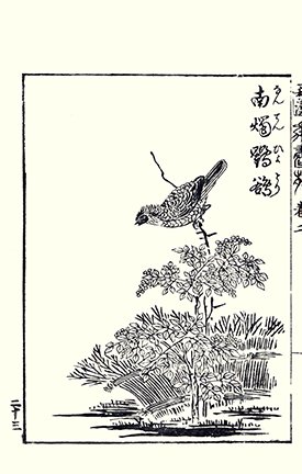 photo13.jpg