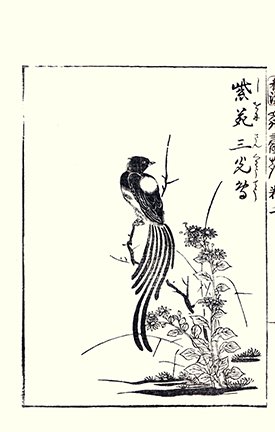 photo15.jpg