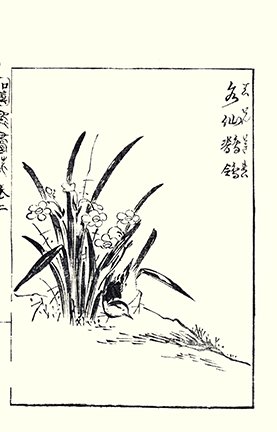photo20.jpg