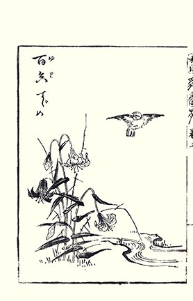 photo21.jpg