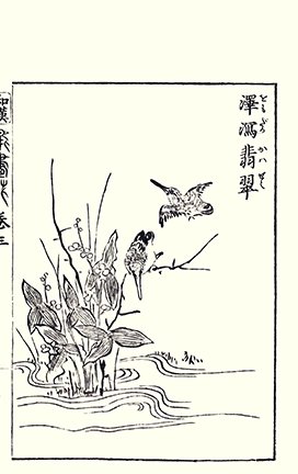 photo24.jpg