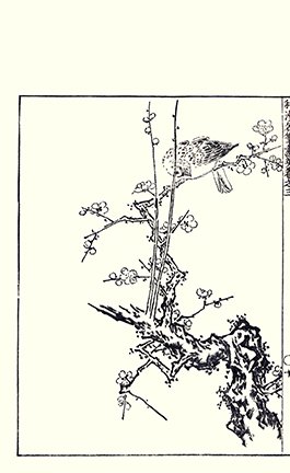 photo15.jpg