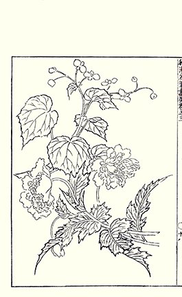 photo17.jpg