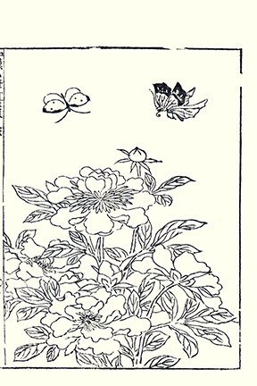 photo23.jpg