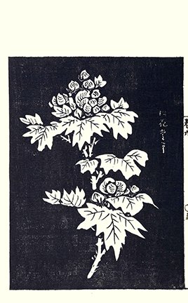 photo14.jpg