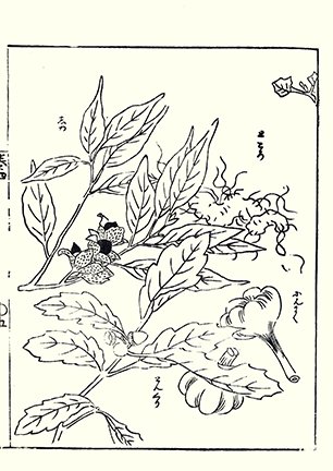 photo7.jpg