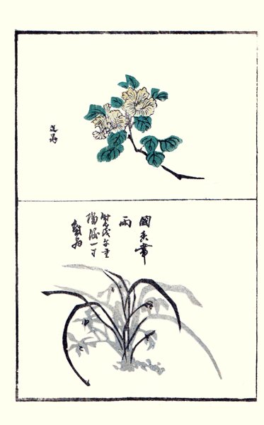 photo16.jpg