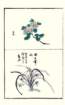 photo16_small.jpg