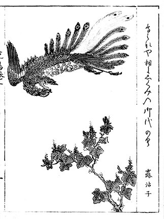 photo.jpg