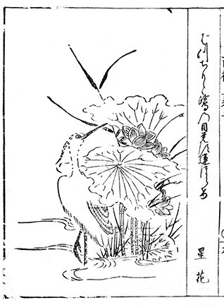 photo28.jpg
