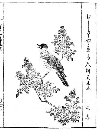 photo34.jpg
