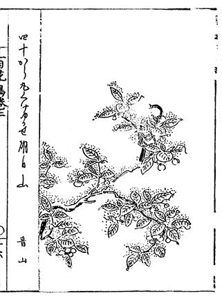 photo41.jpg