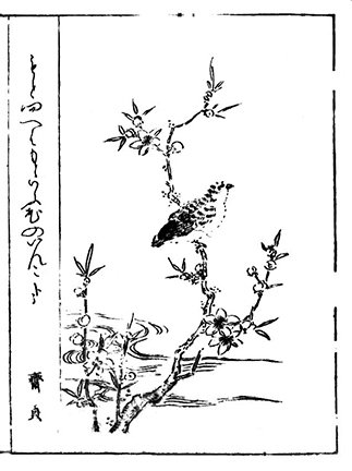photo87.jpg