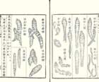 photo11_small.jpg