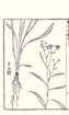 photo12_small.jpg