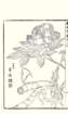 photo13_small.jpg