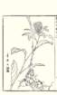 photo14_small.jpg