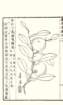 photo20_small.jpg
