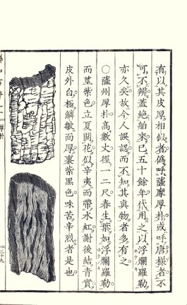 photo21.jpg