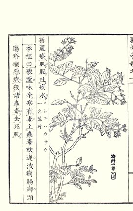 photo24.jpg