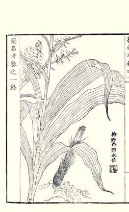 photo25.jpg