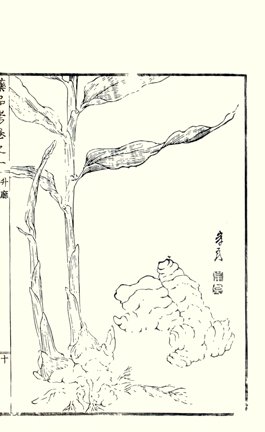 photo4.jpg