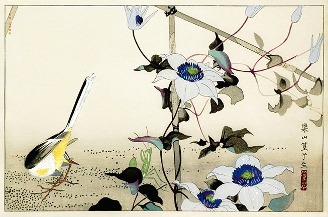 photo24.jpg