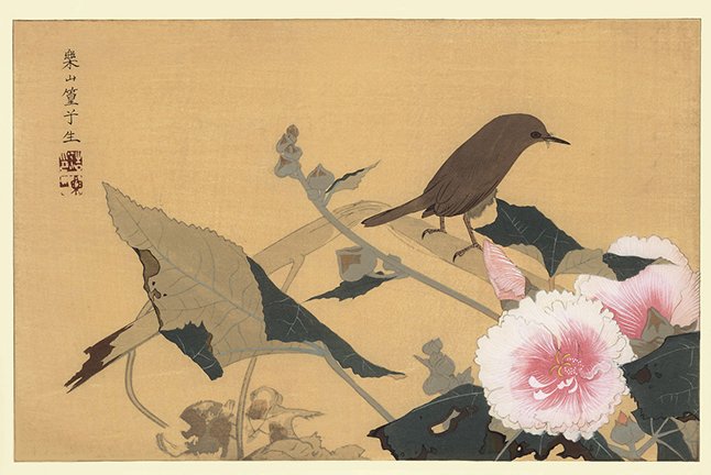photo25.jpg