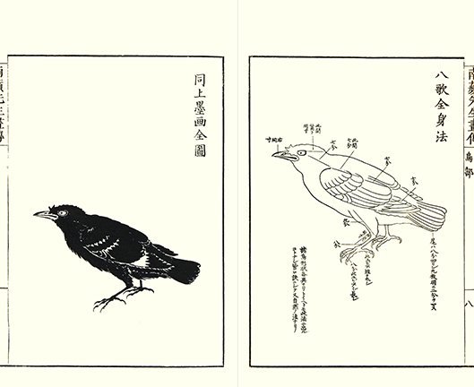 photo.jpg