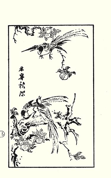 photo16.jpg