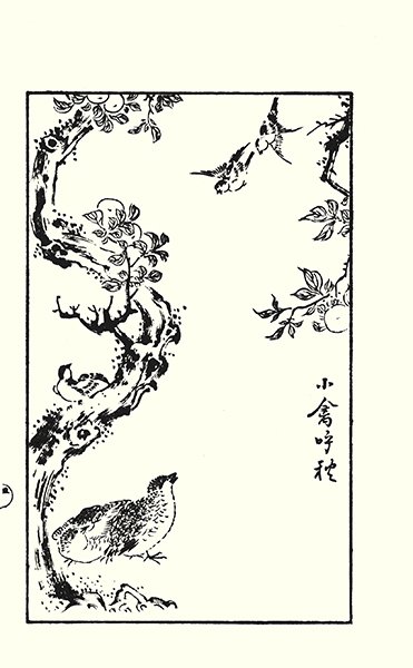 photo18.jpg
