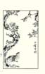 photo18_small.jpg