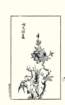 photo21_small.jpg