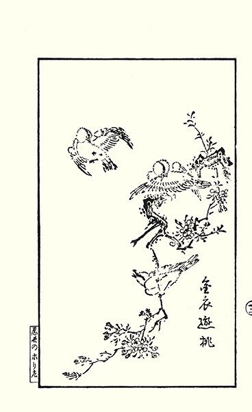 photo23.jpg