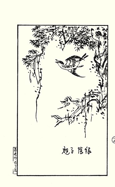 photo25.jpg