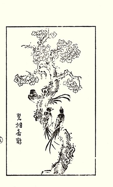 photo28.jpg