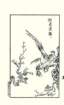 photo29_small.jpg