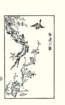 photo8_small.jpg