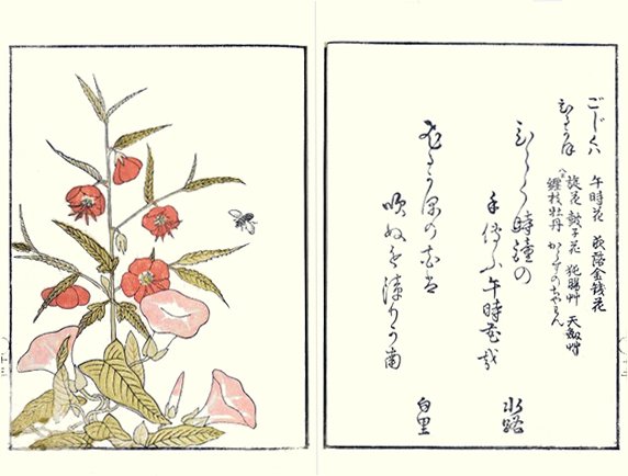 photo10.jpg
