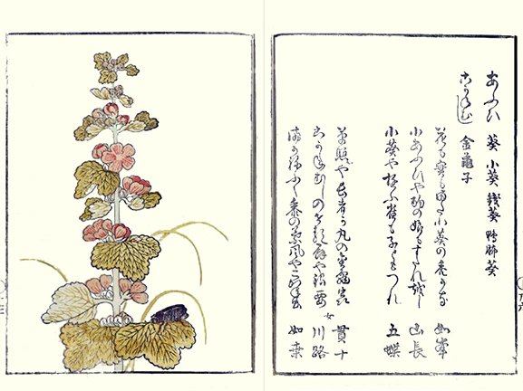 photo23.jpg