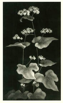 photo7.jpg