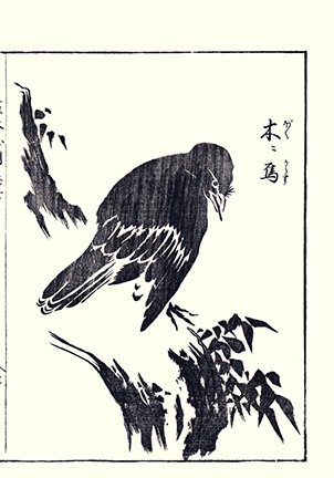 photo18.jpg