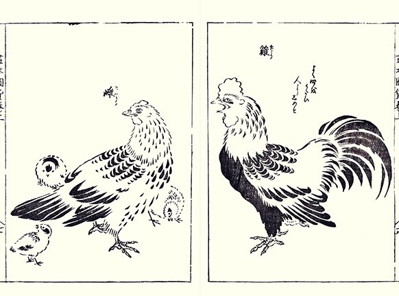 photo.jpg