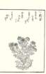 photo101_small.jpg