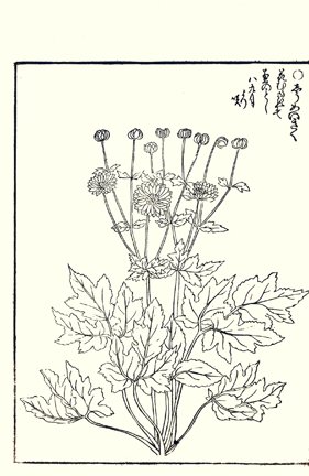photo104.jpg