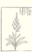 photo10_small.jpg